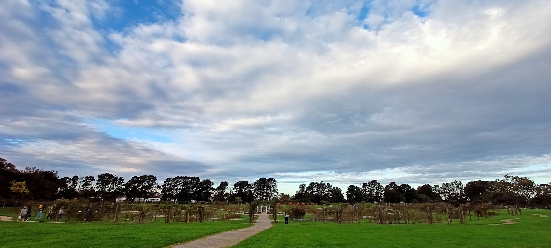 The Barwon Valley Activity Centre — Gymnastics in Geelong