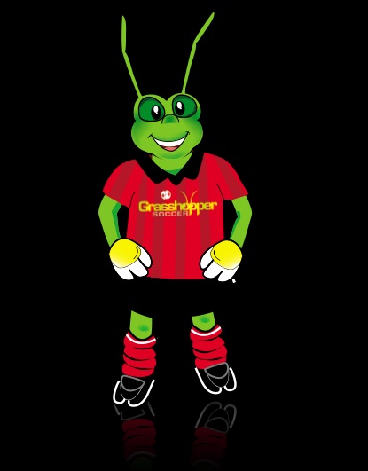 Grasshopper Soccer Geelong — photo 1