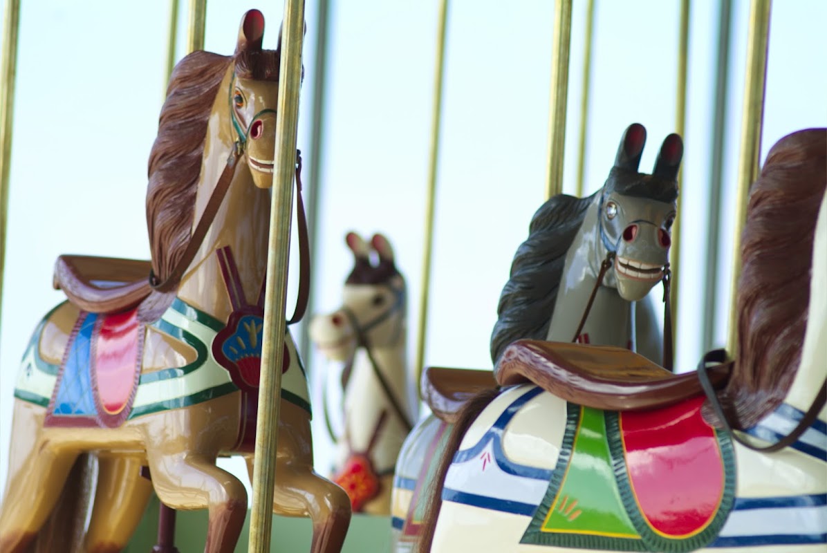 The Carousel — Playgrounds in Geelong
